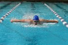 Swimming vs Bentley  Wheaton College Swimming & Diving vs Bentley College. - Photo by Keith Nordstrom : Wheaton, Swimming & Diving